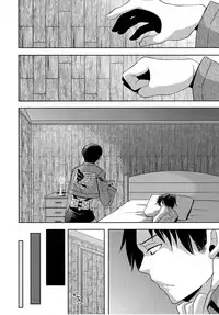 (FALL OF WALL4) [Inubaka (Matsuzono)] Shikkari shite kudasai Buntaichou. | Please take this seriously, Squad Leader. (Shingeki no Kyojin) [English] [EHCove]