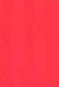 (C94) [Takeritake Daishuukakusai (Echigoya Takeru)] Ore no Douki ga Onna datta Rashii (Hunter x Hunter)