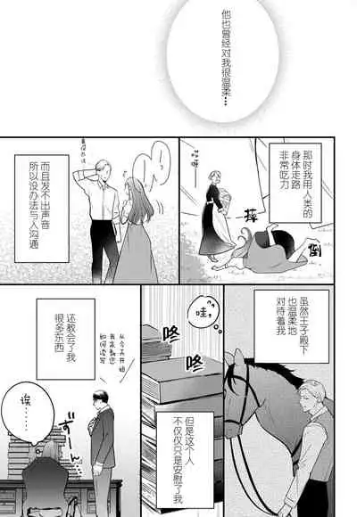 転生人魚姫ですが、今世こそ幸せになりたいんです!| 转生人鱼公主,这辈子绝对要获得幸福!