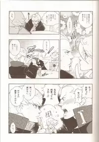 (SC43) [Article 60 of Criminal Code (Shuhan)] Glaucidium palmatum. (Persona 4)