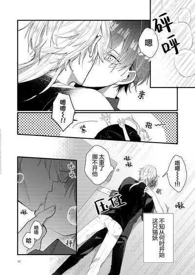 捡回家的猫竟是猫妖