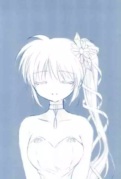 (C85) [Ameiro (Nanashiki)] Love Forever -NanoFei nano Sairoku-shuu 2- (Mahou Shoujo Lyrical Nanoha)