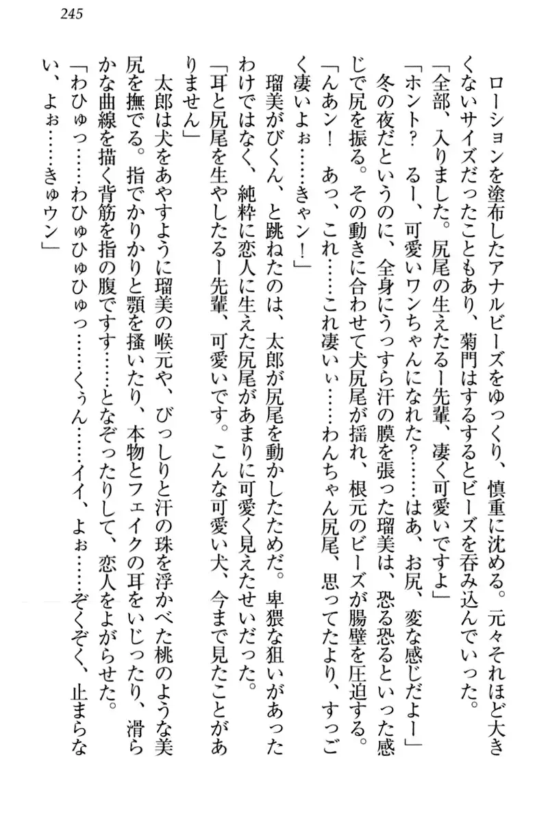 Boku to Ruu Senpai no Houkago Choukyou Nisshi - Kyou mo Watashi o Shitsukenasai!