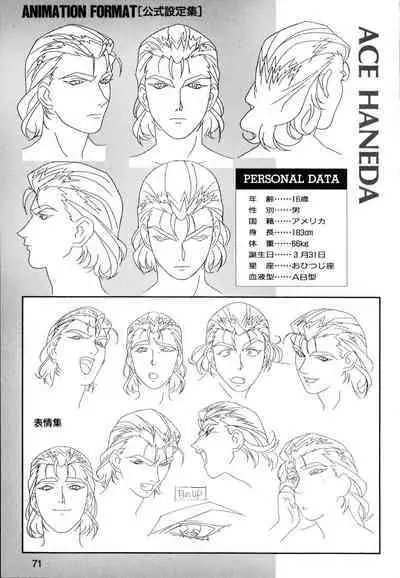 This is Animation Pocket- Chouja Reideen Character Book