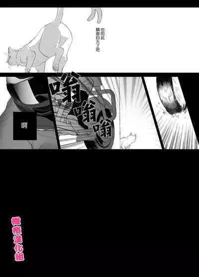 bake neko to mibōjin|猫与未亡人