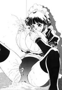 (C67) [Narimasuya] DOLLS DIARY -ReMix-