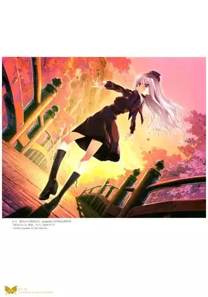 八宝備仁画集 紅蝶(ほてり)