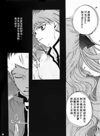 (Mimiket 10) [RED DATA BOOK (Amano Ryuuki)] Albireo (Fate stay night) [Chinese]