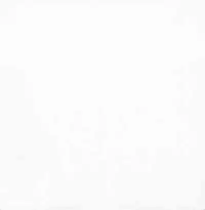 深い森の影から