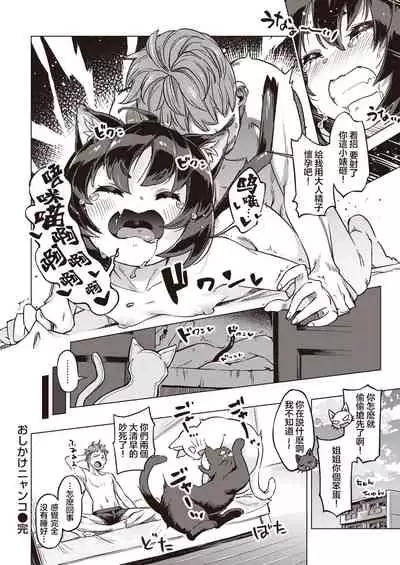 Oshikake Nyanko | 不请自来的小猫