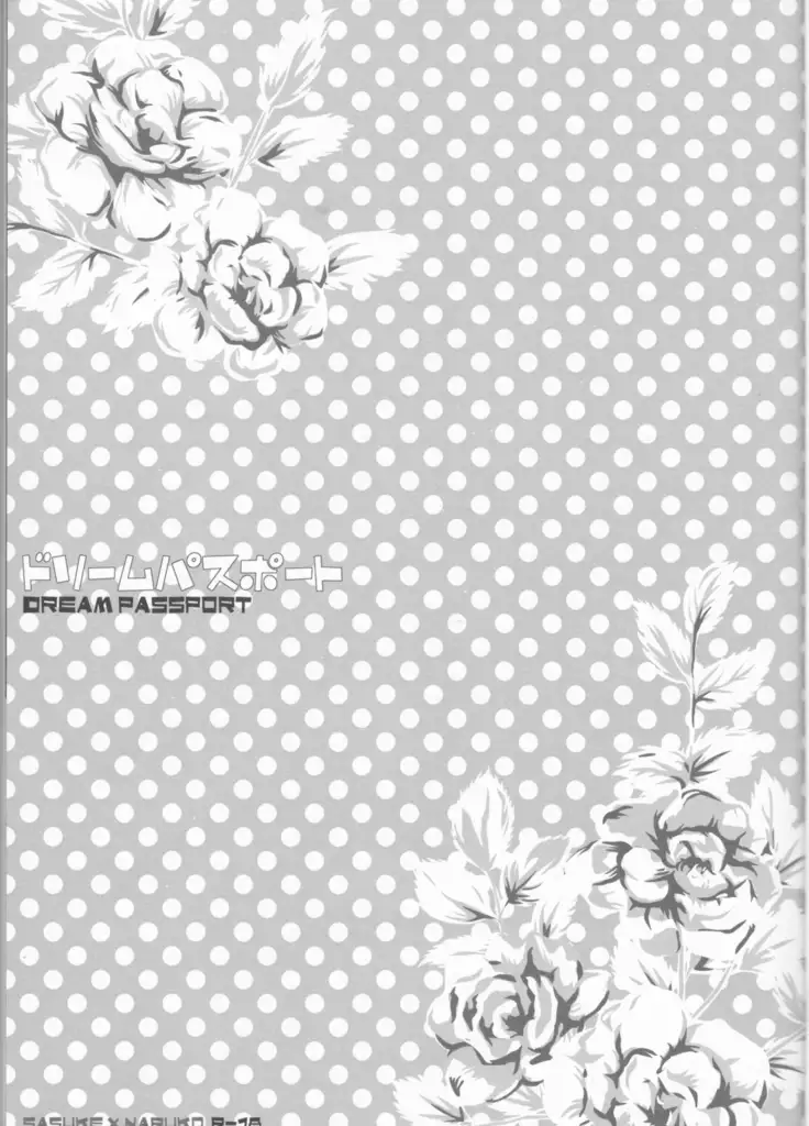 Dream Passport ongoing