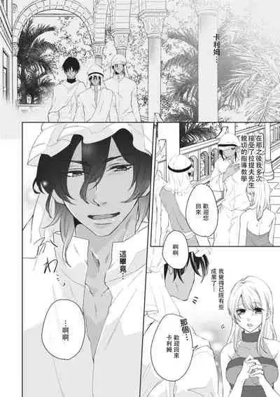 [Dai Sasaduka] ikoku no hanayome ~ seiai ressun wa kimigatame ~ | 異國的花嫁～為你接受的sex教學～ [Chinese] [莉赛特汉化组]