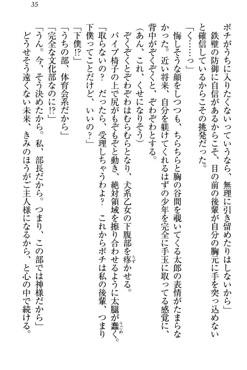 Boku to Ruu Senpai no Houkago Choukyou Nisshi - Kyou mo Watashi o Shitsukenasai!