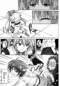(C79) [Cyclone (Izumi, Reizei)] 767B (Mahou Shoujo Lyrical Nanoha) [Chinese] [脸肿汉化组]