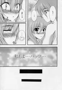 (C75) [SLASH (Mitsurugi Aoi)] return to lover (Final Fantasy V)