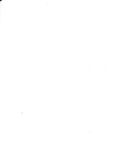 Alter-chan, Saimin Bounyuu Quest Shienchuu