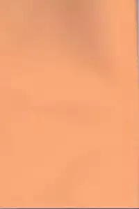 (C73) [Coral Reef (Yuumi Takako)] Neko to Hirune Ni (Code Geass: Lelouch of the Rebellion)