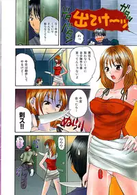 COMIC Shitsurakuten 2009-02
