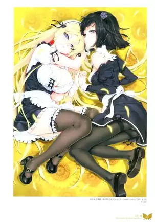 八宝備仁画集 紅蝶(ほてり)