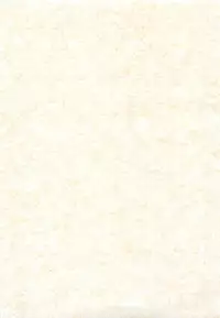 [DELTA BOX (Ishida Masayuki)] Shiromadoushi Hi Onegaishimasu (Final Fantasy I)