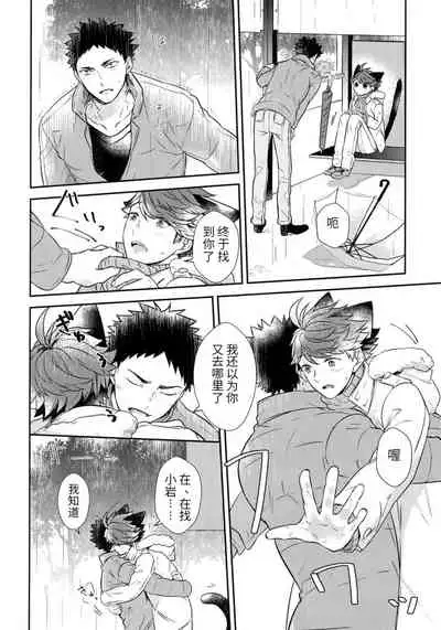 我想成为小岩的猫5I want to become Iwa-chan's Cat! 5