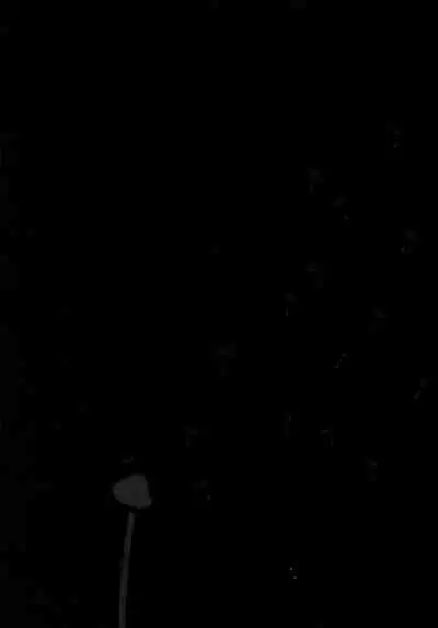 Yomi no Machi | 黃泉之街