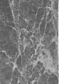 [TSK (Fuuga Utsura)] ff fortissimo. (Final Fantasy XII) [English] [Rinruririn]