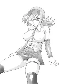 (C62) [Studio Wallaby (Nishitsuki Tsutomu)] Nishitsuki Recycle (Various) [English] [c7n88]