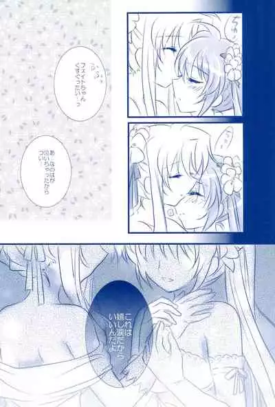 (C85) [Ameiro (Nanashiki)] Love Forever -NanoFei nano Sairoku-shuu 2- (Mahou Shoujo Lyrical Nanoha)