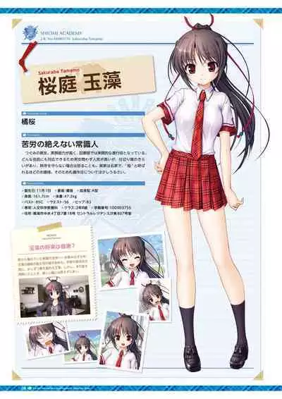 Daitoshokan no Hitsujikai Visual Fan Book Houkago Shippo Days & Dreaming Sheep Visual Fan Book