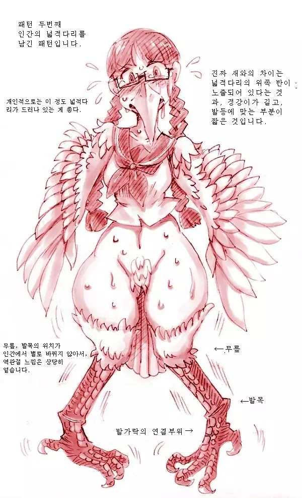 Study and practice about bird TF