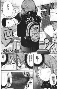 Tadashii Koubi no Susume | 正確的交尾法推薦你