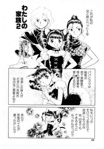 [Hikaru Nagareboshi] Seigi No Mikata Mo Raku Zya Nai