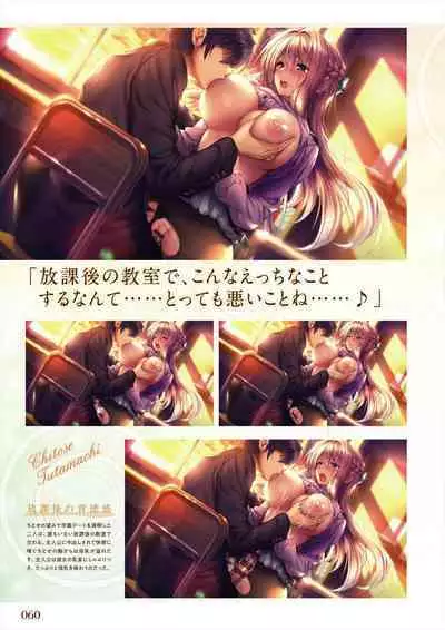 Amakano 2 Visual Fan Book