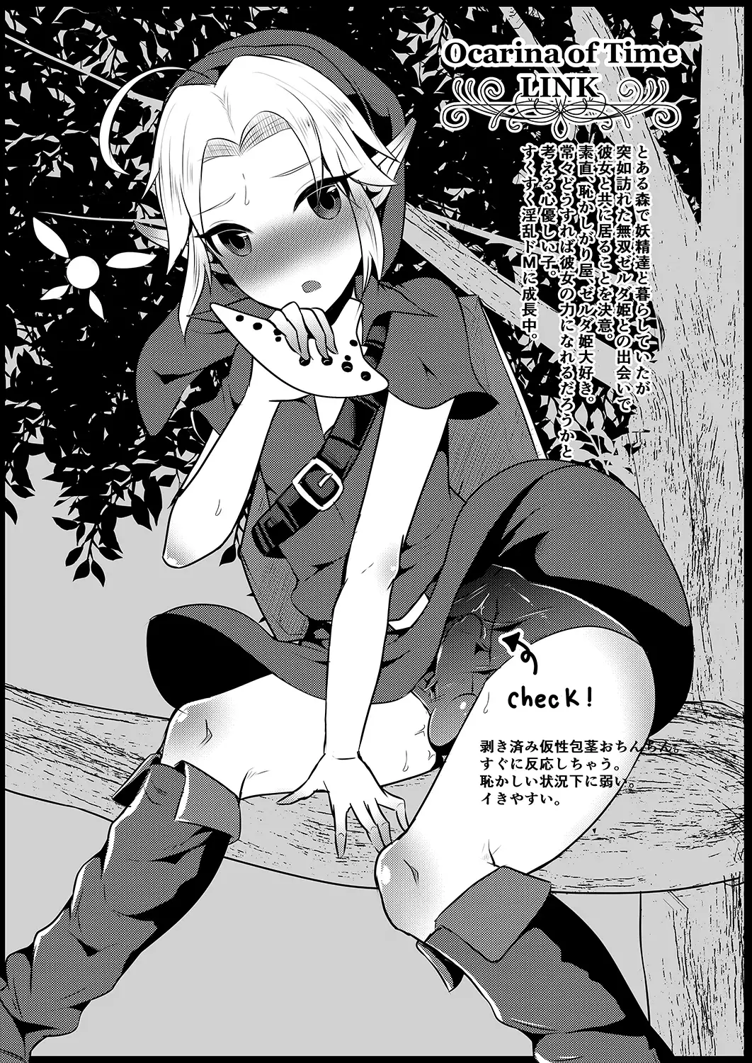 Futanari Zelda Compilation