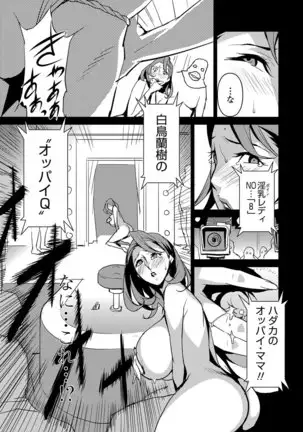 - セクションQ