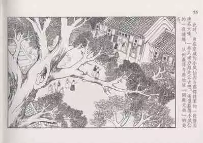 史上名妓 风尘侠女-小凤仙（辜国兴 2013年11月）