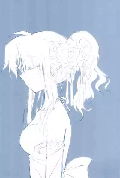 (C85) [Ameiro (Nanashiki)] Love Forever -NanoFei nano Sairoku-shuu 2- (Mahou Shoujo Lyrical Nanoha)