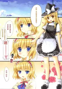 (FF18) [TwinBox (Sousouman, Hanahanamaki)] Mahou Kinoko | 魔法的紅香菇 (Touhou Project) [Chinese]