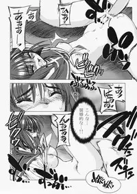 [Kashiwa-ya] Kashiwa-ya Circle 10th Anniversary (Various)