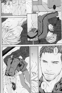 (C84) [clr, 12.5 (Akizou, Mizuki)] Answer (Resident Evil)