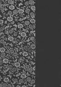 (C62) [Hellabunna (Iruma Kamiri)] INU/Sequel (Dead or Alive) [English] [Kizlan] [Decensored]