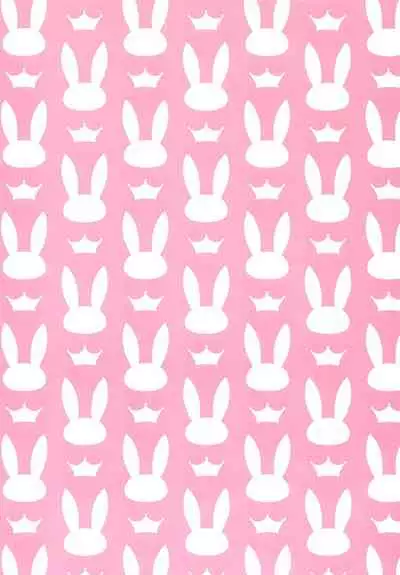 Madoromi Usagi | 打盹的兔子