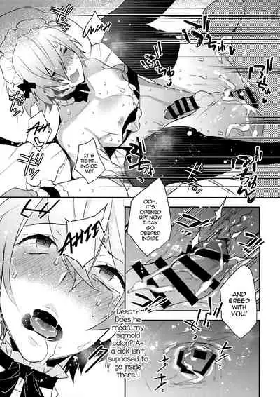 Dokidoki Mesu Ochi Gohoushi Challenge