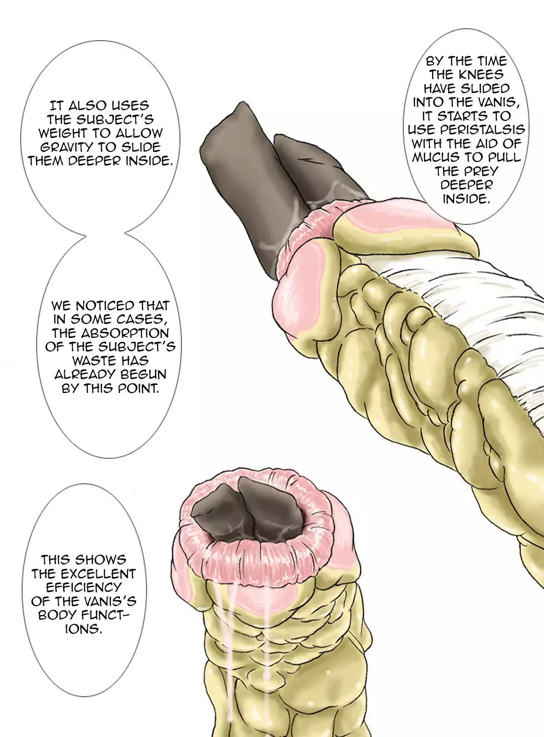 P045-02 Vanis Report