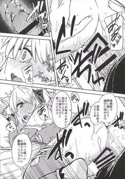 (C97) [Giniro Noel (Yuma)] kujou hitoma-ni utyuuto-futari (Fate/Grand Order)