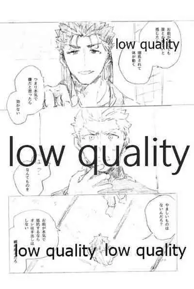 (SPARK14) [Karmin (Hozumi)] Tsunagaritai, Kimi to. (Fate/Grand Order)