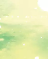 Sakura Musubi Visual Fanbook