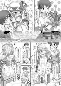 [Kuromahou Kenkyuujo (wizakun)] Osoto ni Tsuretette (Touhou Project) [Digital]