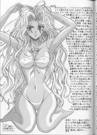 (C62) [Lover's (Inanaki Shiki)] a lonely angel's affection (Bastard! Destroyer of Darkness)